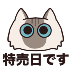 Tachibana3
