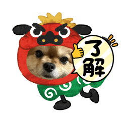 maki_20250121231013
