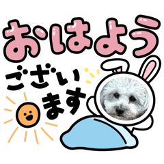 misa_20250121231758