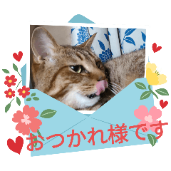 hanako_20250121212004