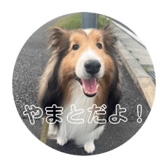 kyoko_20250121213941