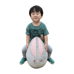 mai_20250122114550