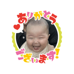 pika pika_20250122092005