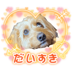 kuu_20250122003353