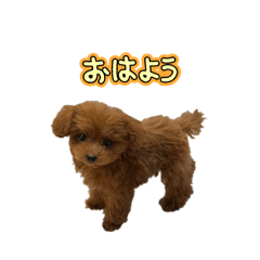 Hana_20250122125304