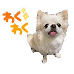 omochi_20250121220016