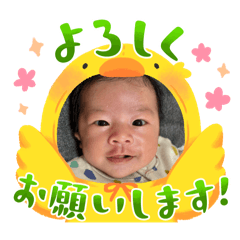 Nao_20250121233208