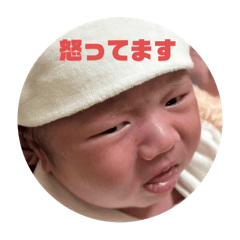 haruharu taktaka