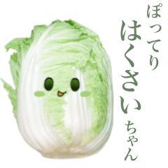 Chinese cabbage chan 2