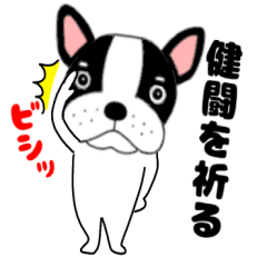 Raccoon20French bulldog buruchan46