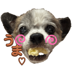 KUU_20250122145140