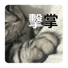 我是高小八ෆ⃛