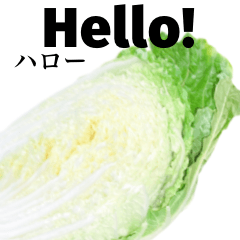 Chinese cabbage 15