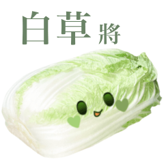 Chinese cabbage chan 3