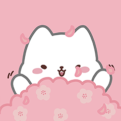 可愛的小貓咪3