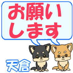 Amakura's letters Chihuahua2