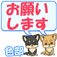 Shikibe's letters Chihuahua2