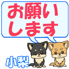 Konashi's letters Chihuahua2