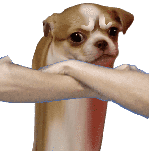D.O.G.E. Meme