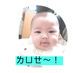琳霏