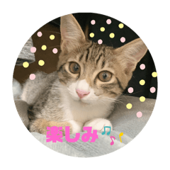SIMBA_20250122183922