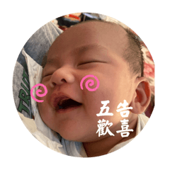 條皮搗蛋