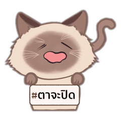 Cathome_20250122200140