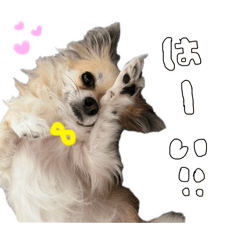 chihiro_20250122171721