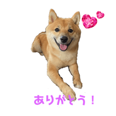KING_20250122201546