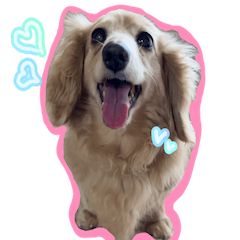 Choko-chan sticker