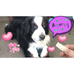 AYA_20250122190325