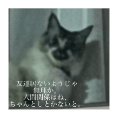 Chris_20250122205351