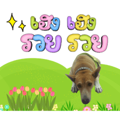 น้องแต๋ม v.1