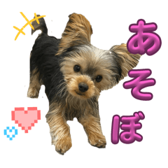 coco_20250122215206