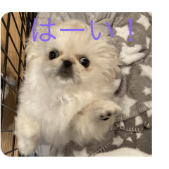 gon_20250122221618