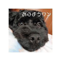 gon_20250122221508