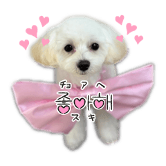 mai_20250122225325