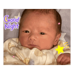 Shiho_20250122161830