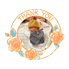 Shiho_20250122180854