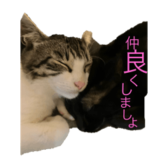 Kaori_20250122140258