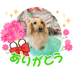 yuko_20250122203935
