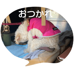 emi_20250123111149