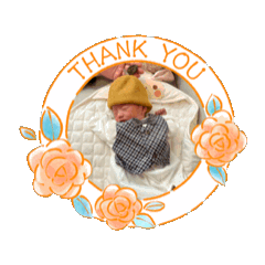 Shiho_20250123113244