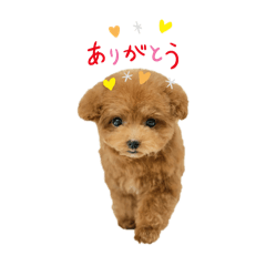 Hana_20250122220347