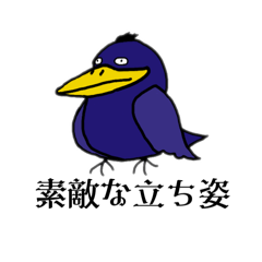 very good style bird