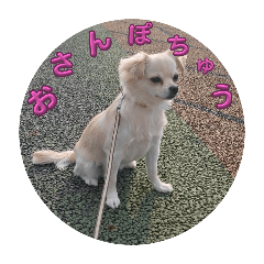 hitomi_20250122231631