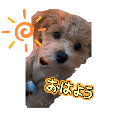Ayame_20250123072442