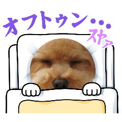 shiro_20250123080921