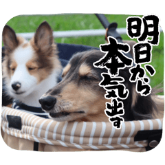 rena_20250123073058
