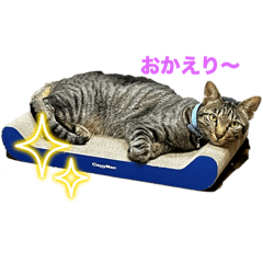 Nao_20250122234845